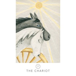 Oraculo Angel Power - Wu