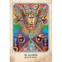 Oraculo Earth Warriors (S