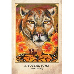 Oraculo Earth Warriors (S