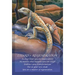 Oraculo Spirit Of The Ani