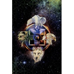 Oraculo Spirit Of The Ani