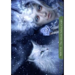 Oraculo Fantasy Cats (Set