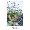 Tarot The Herbcrafter's (