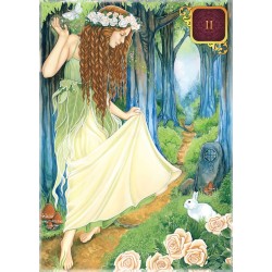 Tarot Dreams of Gaia (78