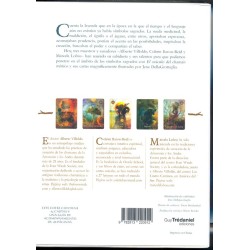 Oraculo Del Chaman Mistic