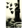 Tarot Munder of Crows (M