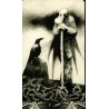 Tarot Munder of Crows (M