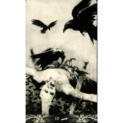 Tarot Munder of Crows (M