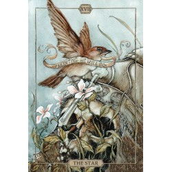 Tarot Hush (Jeremy Hush)(
