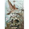Tarot Hush (Jeremy Hush)(