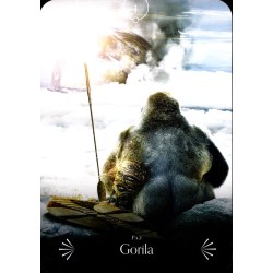 Oraculo Sabiduria Divina de los Animales(44cartas+ libro) (Guy) Stacey Demarco, Kinga Britschgi