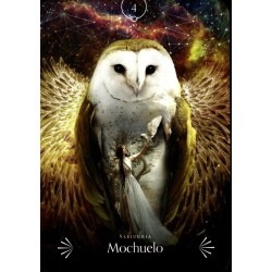 Oraculo Sabiduria Divina de los Animales(44cartas+ libro) (Guy) Stacey Demarco, Kinga Britschgi