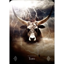 Oraculo Sabiduria Divina de los Animales(44cartas+ libro) (Guy) Stacey Demarco, Kinga Britschgi