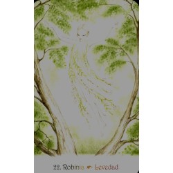 Oraculo las cartas de lds