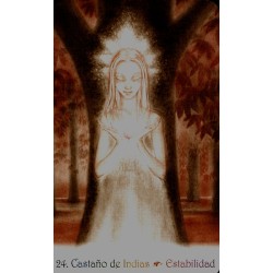 Oraculo las cartas de lds