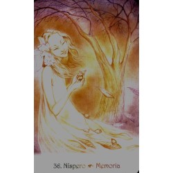 Oraculo las cartas de lds