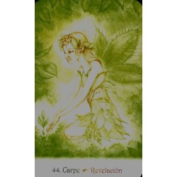 Oraculo las cartas de lds