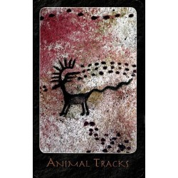 Oraculo A Shaman (USG) (A