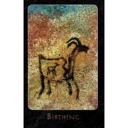 Oraculo A Shaman (USG) (A