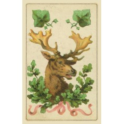 Oraculo Flok Cards of Des