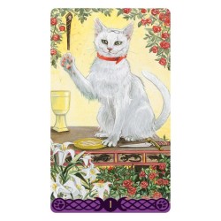 Tarot Gatos Paganos (m