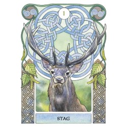 Oraculo Celtic Astrology