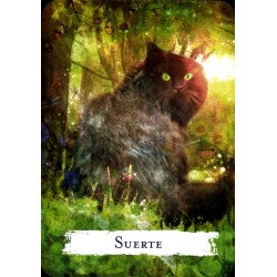 Oraculo De los Hechizos