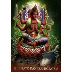 Oraculo Esoteric Buddhism