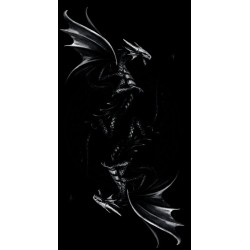 Tarot Dragon Anne Stokes