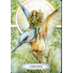 Tarot Oracle of Light & D