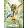 Tarot Oracle of Light & D