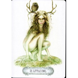 Tarot Oracle of Light & D