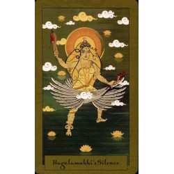 Tarot Wisdom from the Epi