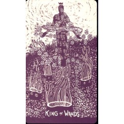 Tarot coleccion The Light