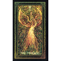 Oraculo Cosma Visions