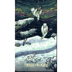 Oraculo Cosma Visions