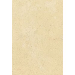 Oraculo Carta de Cambio