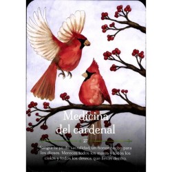 Oraculo Estaciones De La