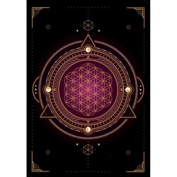 Oráculo de los registros