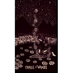 Oraculo Little Light Visi