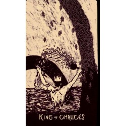 Oraculo Little Light Visi