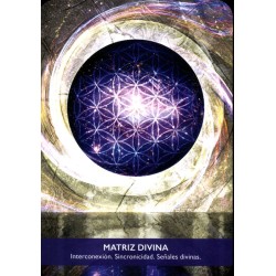 Oraculo Portal de Luz -