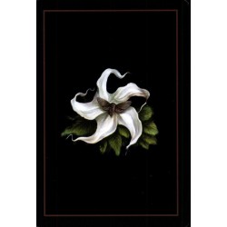 Oraculo El Bosque Solitar