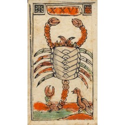 Tarot Minchiate al Cigno - Bologna 1775 ca., (Edicion Limitada) (Multi Idioma) (SCA) (97 Cartas)