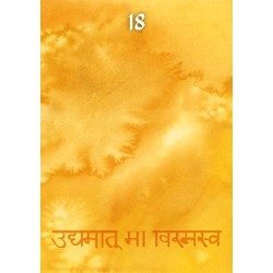 Oraculo Color Meditation