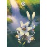 Oraculo Lenormand Herbs &