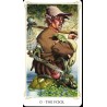 Tarot of the Fairy Folk -