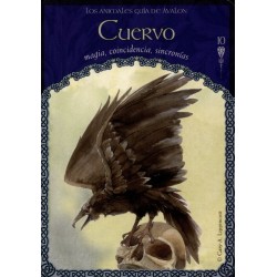 Oraculo La SabidurÃÂ­a de ÃÂ