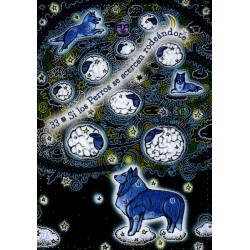 Oraculo Los tejedores de