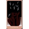 Tarot Inner Light - Seren